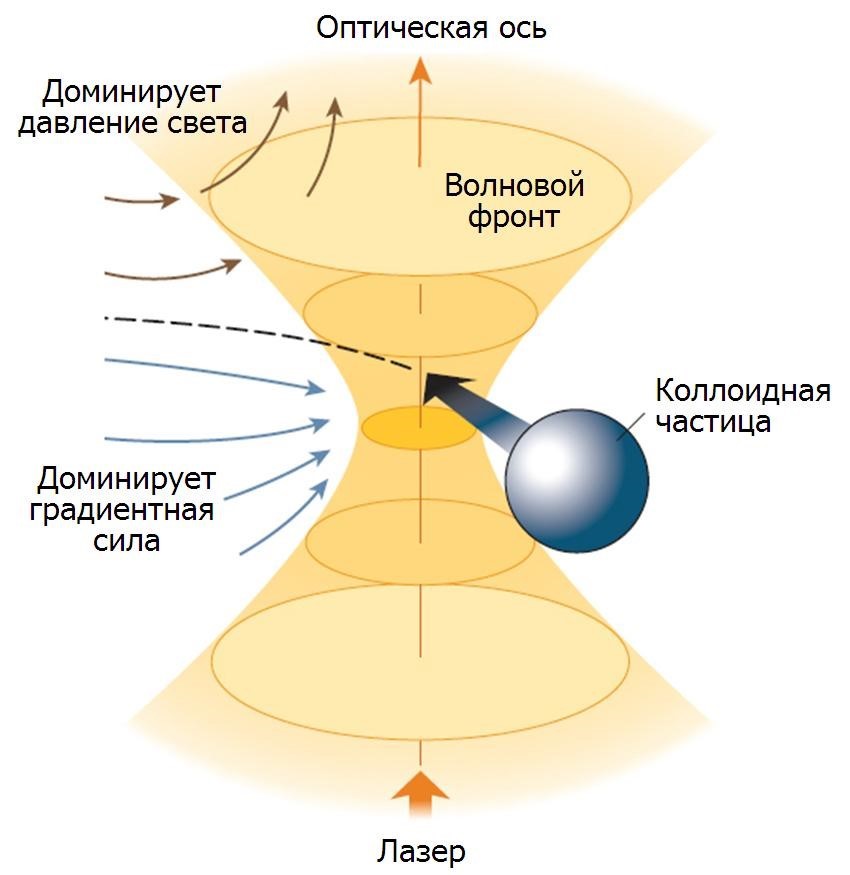 Оптический пинцет