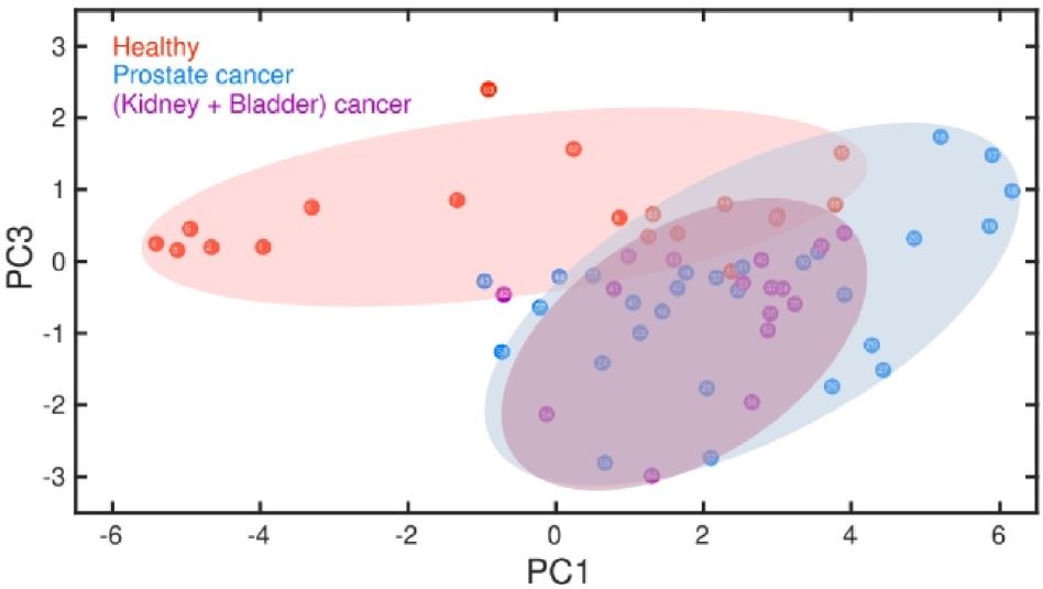 experimental data